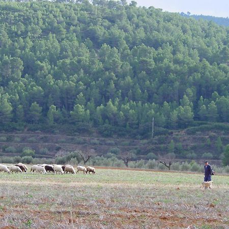 La Bodega Enoturismo Rural Mogente Ngoại thất bức ảnh
