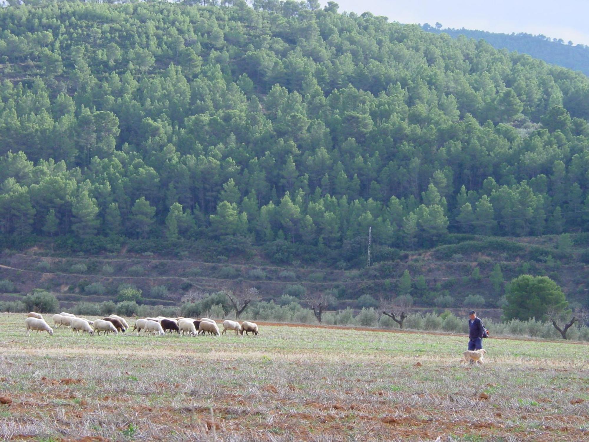 La Bodega Enoturismo Rural Mogente Ngoại thất bức ảnh